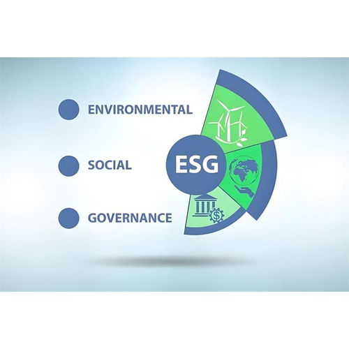 专业翻译服务 解锁交通、3D动画与虚拟制片行业的国际沟通密码