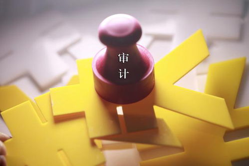 All Companies Need Audit Reports? It Depends